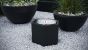 Gardenia S